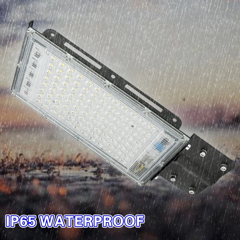 100W LED Street Light AC 220V- - огляд і ціна Zumtobel Outdoor Lighting