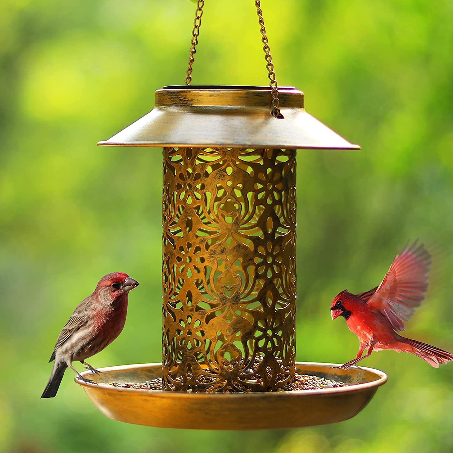 Hanging Bird House Metal Outdo - огляд і ціна Outdoor Lighting Backyard Ideas